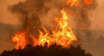 Attention cette vidéo générée par IA ne montre pas les incendies en Israël